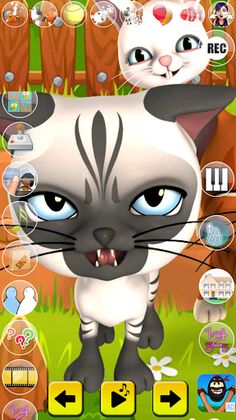 Talking Cat and Bunny - Screenshot 4