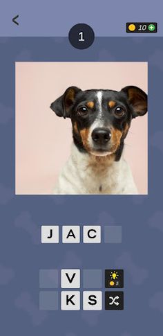 Guess The Dog Name - Screenshot 1