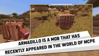 Armadillo Addons for MCPE - Screenshot 2
