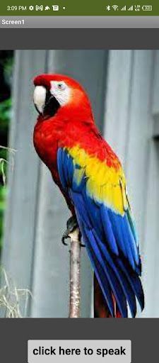 Parrot - Screenshot 1