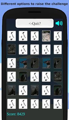 Penguin Matchup Free match Mem - Screenshot 3