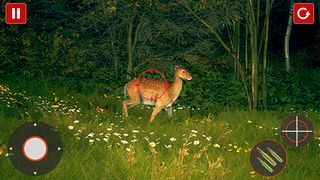 Wild Hunting Shooting Game - Screenshot 3