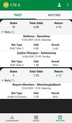 Sanal Bet - Screenshot 3