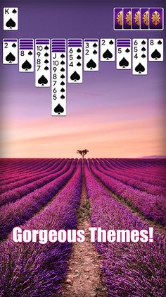 Spider Solitaire - Card Game - Screenshot 2