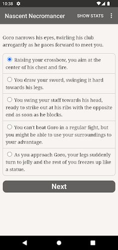 The Nascent Necromancer - Screenshot 4