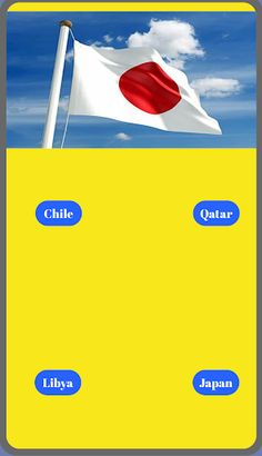 Guess the Flag - Screenshot 3