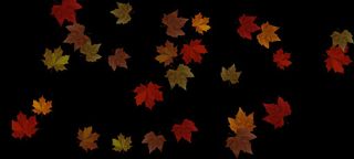 Maple Leaf Fidget - Screenshot 3