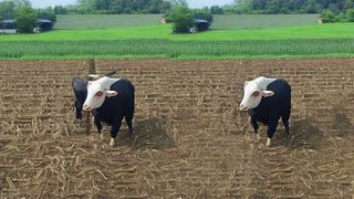 Real Tractor Farming Sim 2023 - Screenshot 1