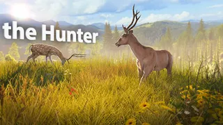 Deer Hunt Gun Games Offline - Screenshot 3