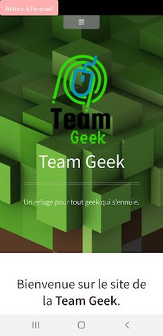 Team Geek - Screenshot 2