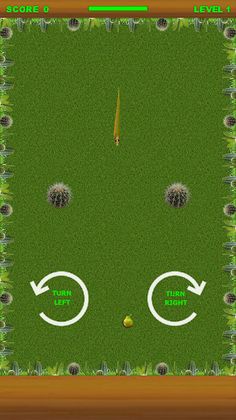 Hungry Snake - Screenshot 3