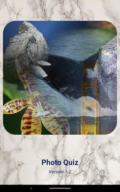 Photo Quiz - Screenshot 4