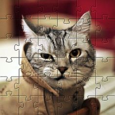 Cat Game Funny Animals Puzzles - Screenshot 4