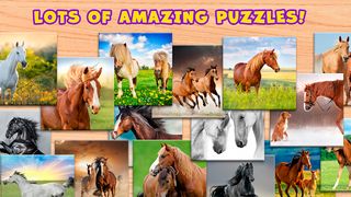 Horses Puzzle Game - Screenshot 2