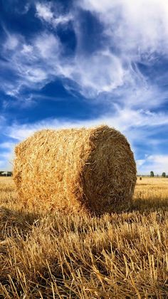 Image Sliding Puzzle - Screenshot 4