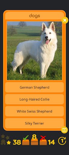 Visual Quiz - Screenshot 1