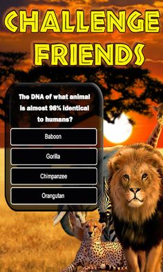 Animals Quiz Wild Creatures - Screenshot 3
