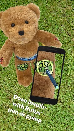 Rufus, the Bear with Diabetes - Screenshot 3