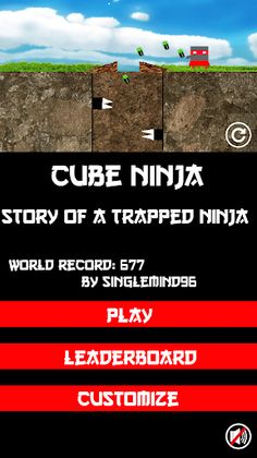 Cube Ninja - Screenshot 1