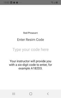 Resimion - Screenshot 2