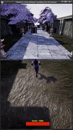 Ninja Run - Screenshot 4