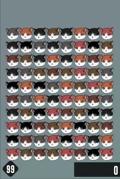 CATPANG - Screenshot 2