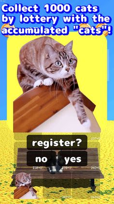 Cat Tower : offline version - Screenshot 2