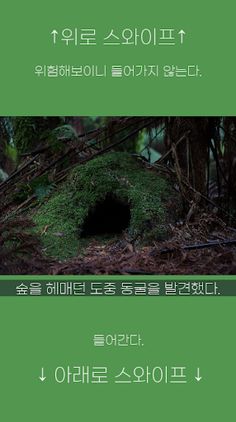 숲속에서 탈출하기 - Screenshot 2