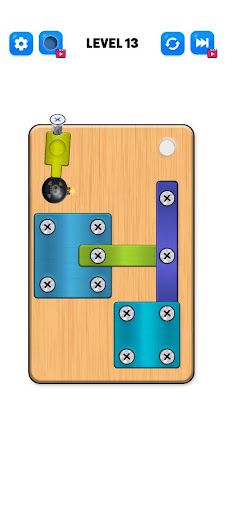 Screw Pin Puzzle: Nuts & Bolts - Screenshot 3