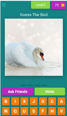 Guess The Animal Quiz - Screenshot 1