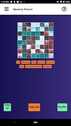 Mystery Picture - Screenshot 1