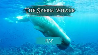 The Sperm Whale - Screenshot 3