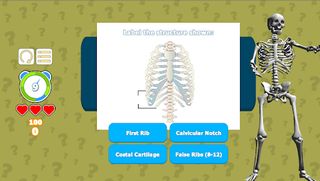 Know Your Skeleton Quiz Game - Screenshot 3