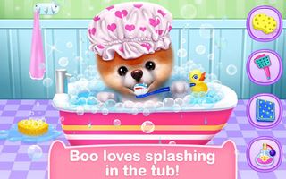 Boo - The World's Cutest Dog - Screenshot 3