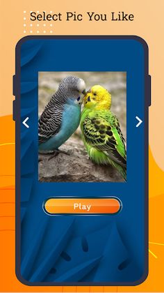 Photo Puzzle Game - Screenshot 2