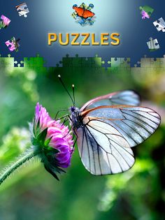 Butterfly Jigsaw Puzzles free - Screenshot 1