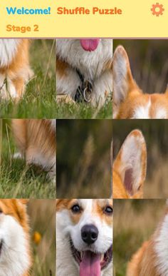 Shuffle Puzzle - Screenshot 2