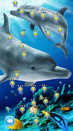 Sea Animals - Screenshot 2