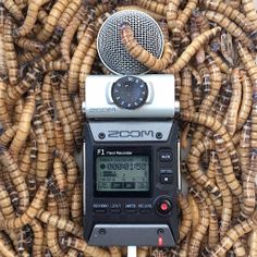 ASMR Maggots Triggers - Murmur - Screenshot 1