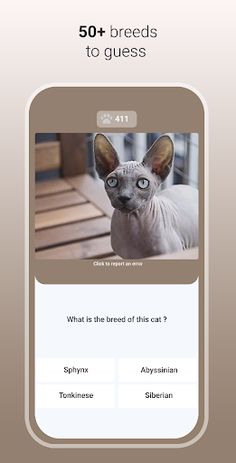 Quiz Cat - Guess the Cat Breed - Screenshot 4