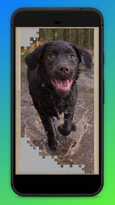 Puppy Jigsaw Puzzles - Zillion - Screenshot 3