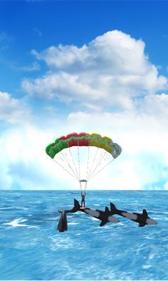 Ali Tiger - Screenshot 1