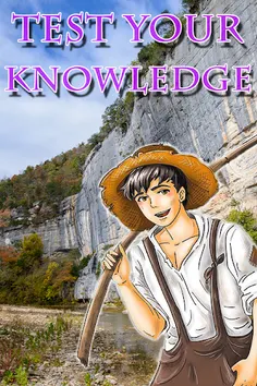Literature Knowledge Quiz - Screenshot 4