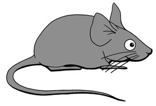 Cesta kanálem - Screenshot 1