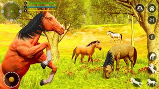 Stallion Wild Horse Simulator - Screenshot 3