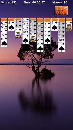 Spider Solitaire Pro - Screenshot 2