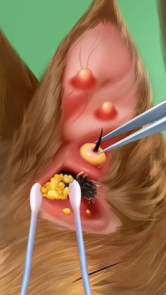 Animal Clinic - Hospital - Screenshot 3