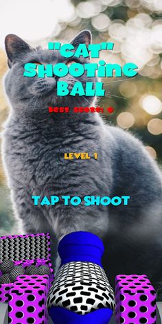 Cat Shooting Ball - Screenshot 3