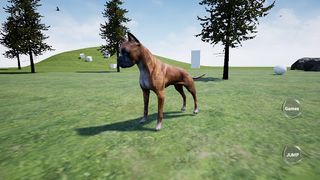 Happy Boxer Dog Simulator - Screenshot 1