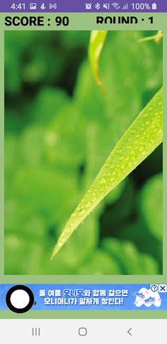 BUG Kill Game(벌레 잡기 게임) - Screenshot 2